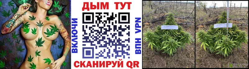 Хочу наркоту Северская Cocaine Псилоцибиновые грибы hydra зеркало ГАШИШ Каннабис Меф мяу мяу