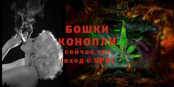 мдпв Навашино