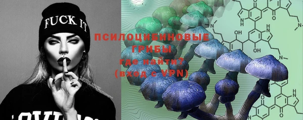 ешки Михайловск