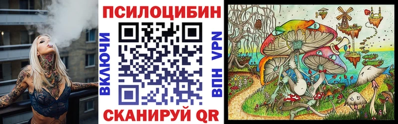 блэк спрут ONION  Северская  Псилоцибиновые грибы MAGIC MUSHROOMS 
