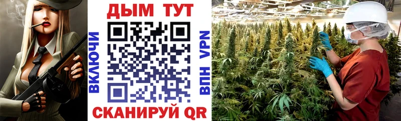 Шишки марихуана ГИДРОПОН где найти наркотики Северская